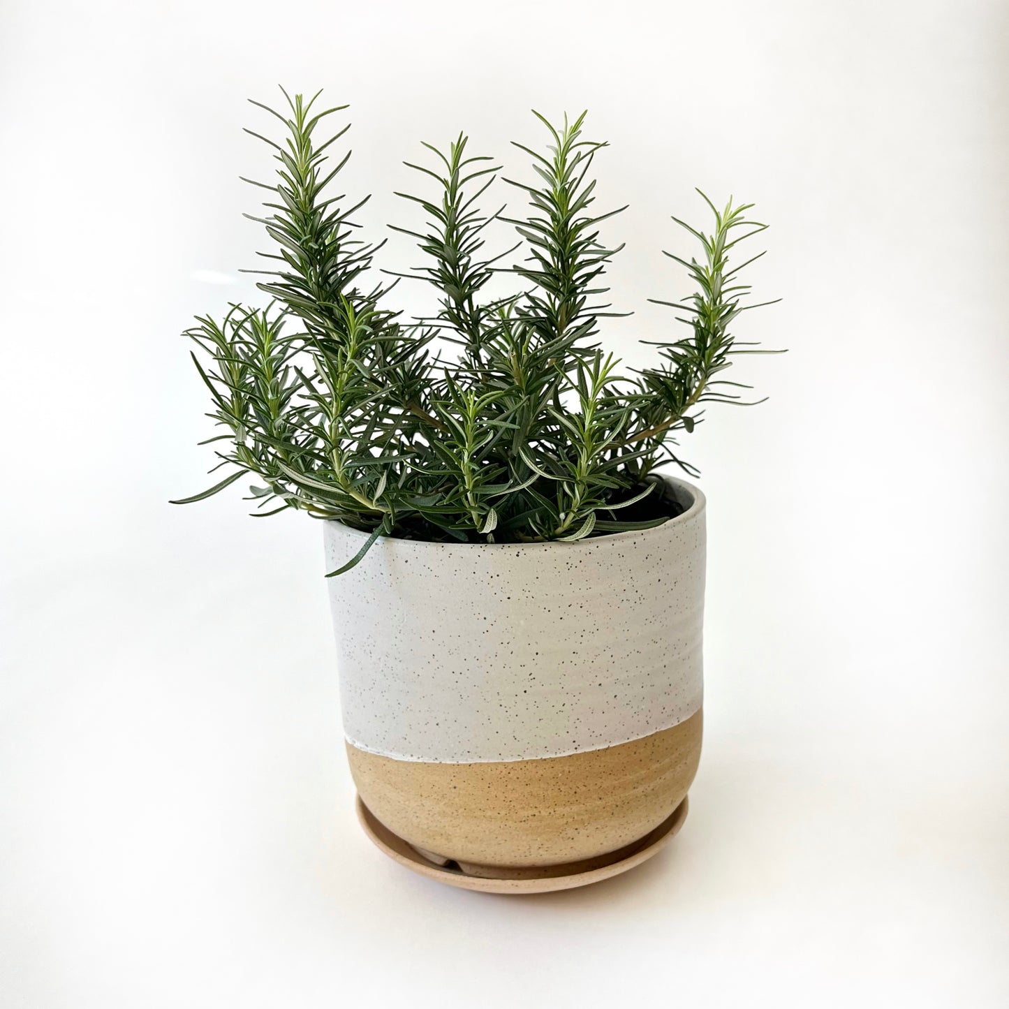 Lrg Handmade Ceramic Planter White