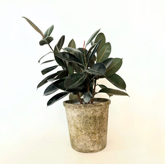 Vintage French Natural Patina Planter