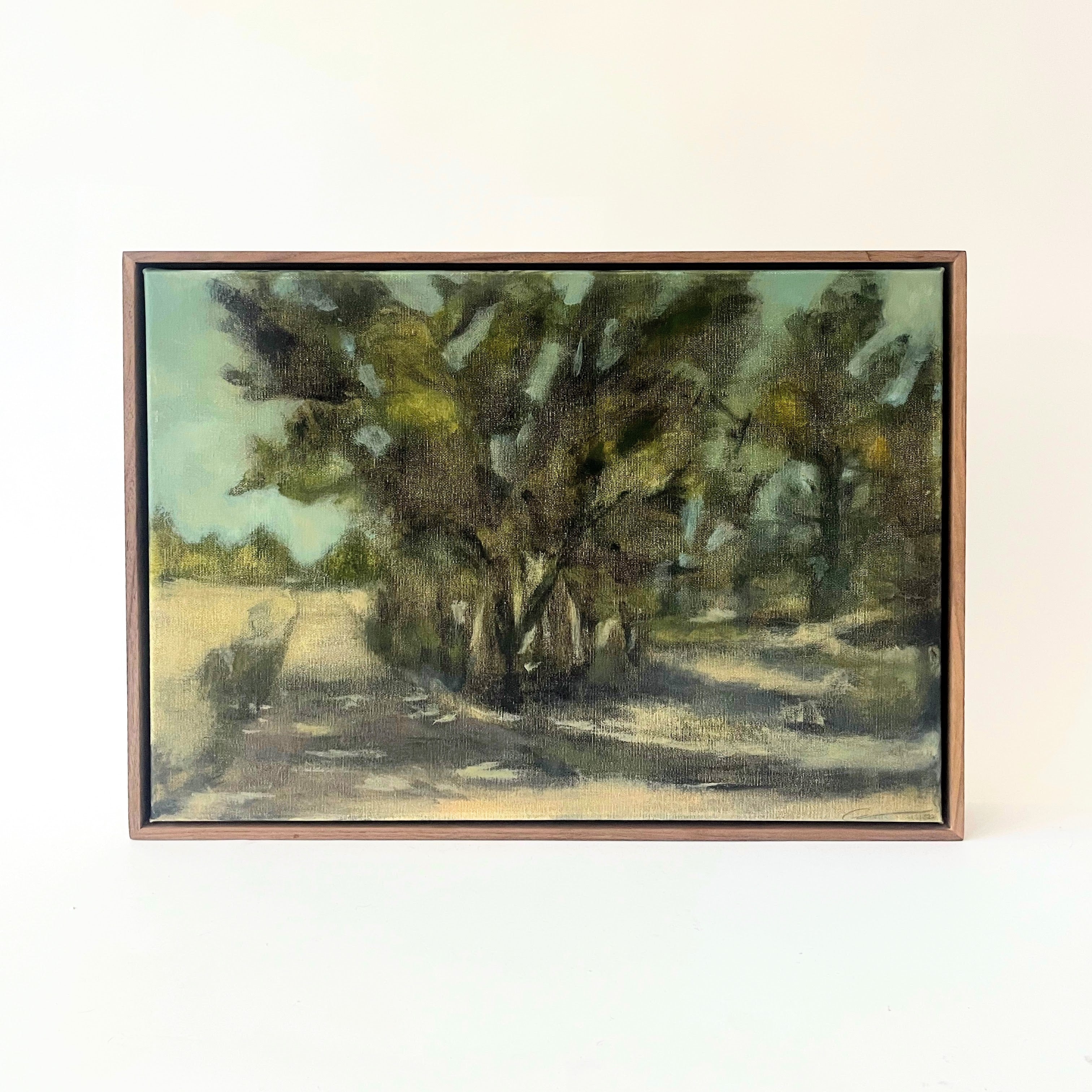 Shanahan by Casey Hebb