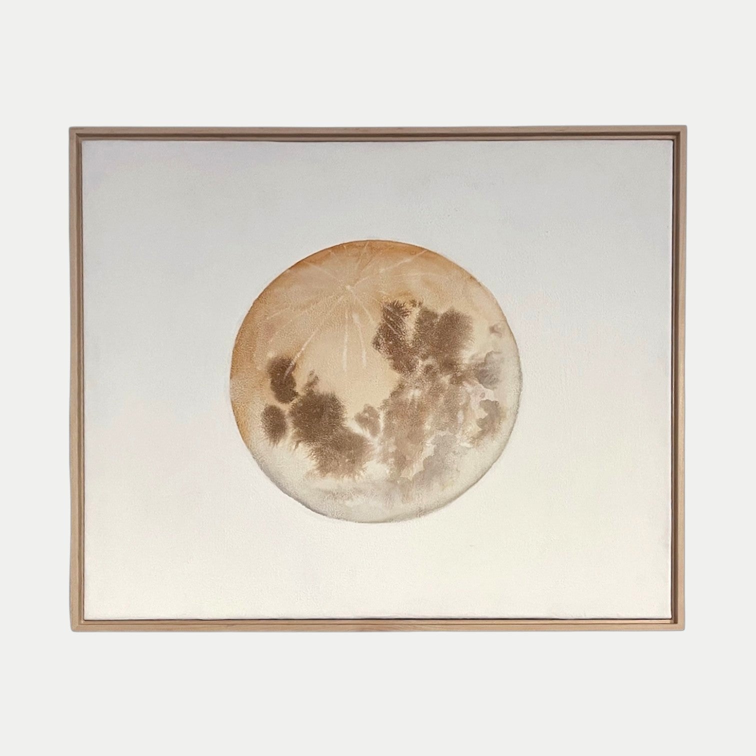 "Selenelion Moon" by Stella Maria Baer