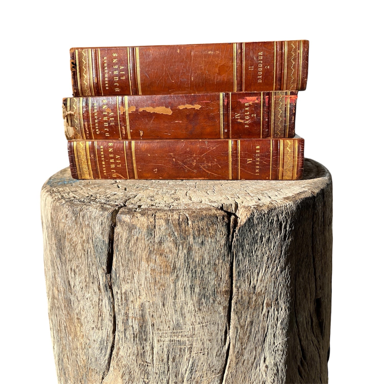 Aged Wood Stump Side Table