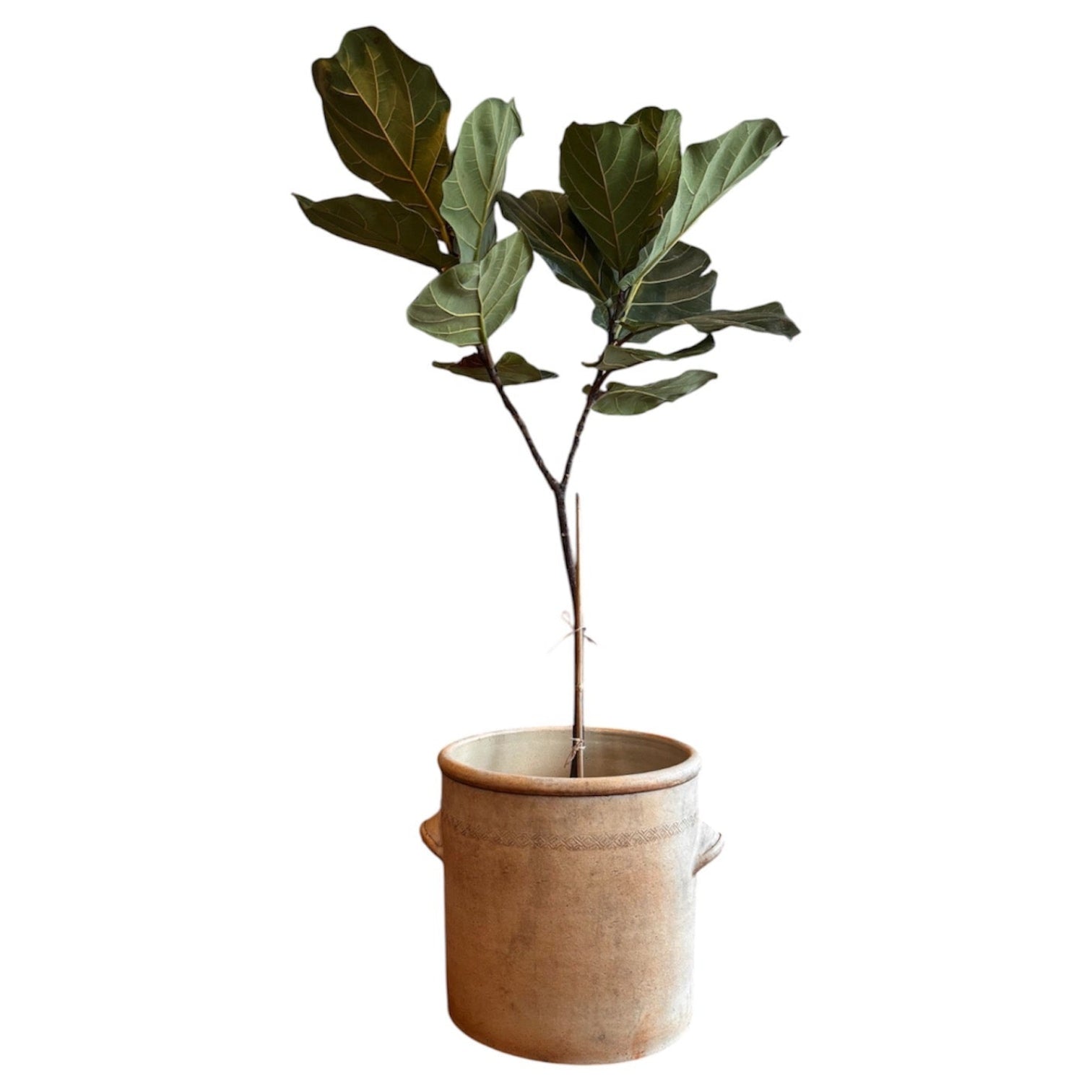 Stoneware Crock Planter, Large