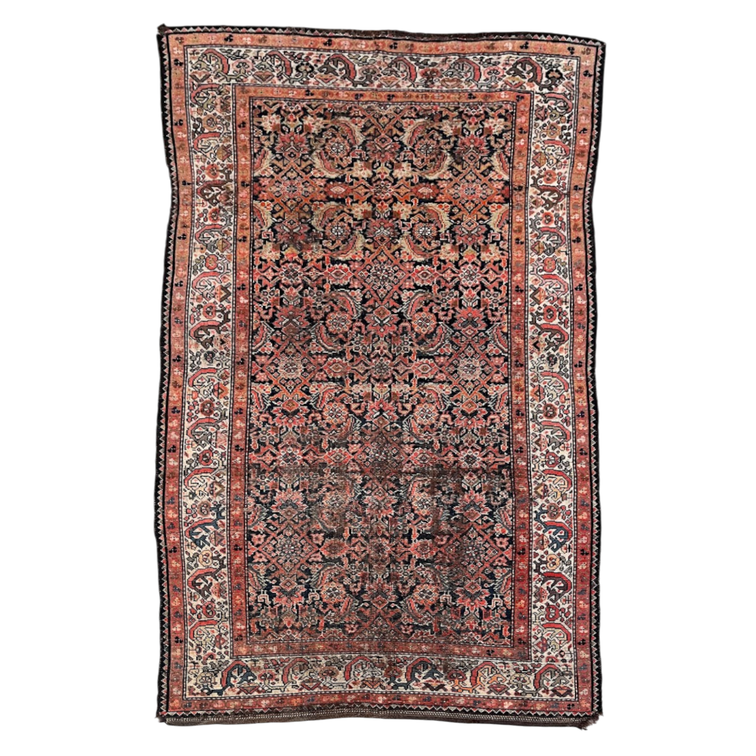 Ariel Vintage Persian Malayer