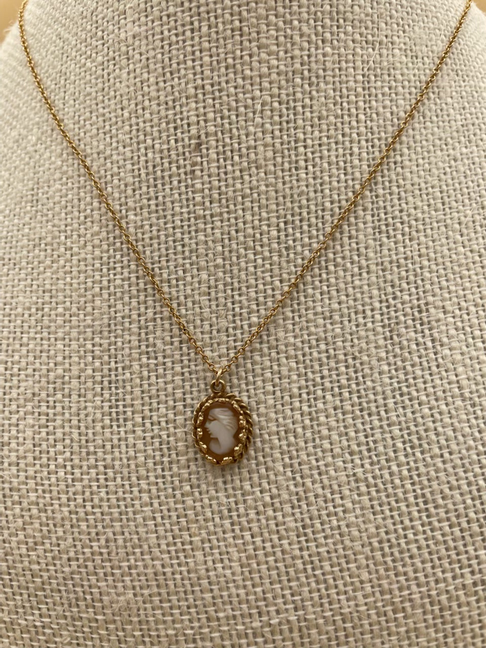 Vintage 14K Cameo on 14k Chain