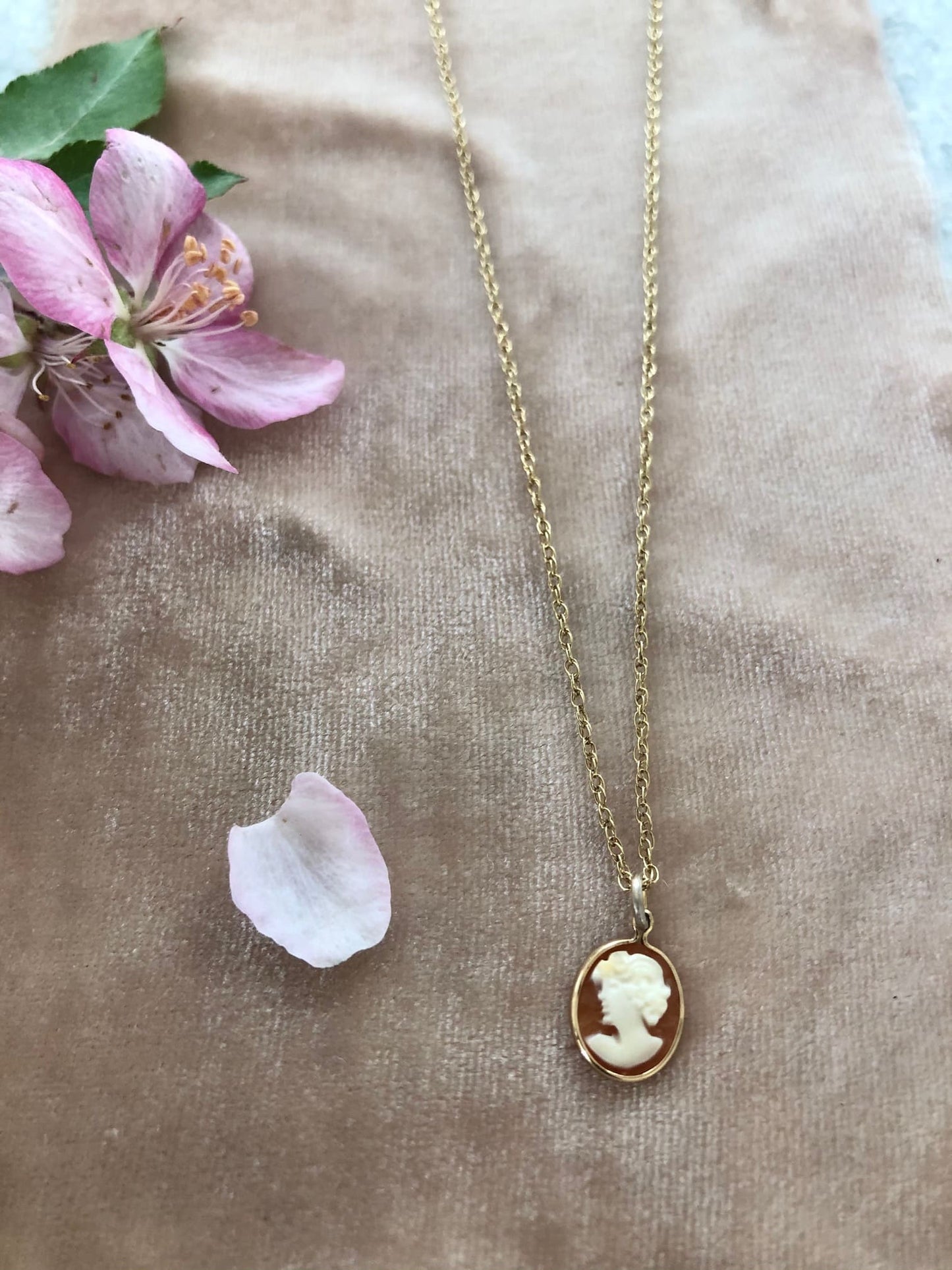 Vintage Cameo with Solid Gold Chain